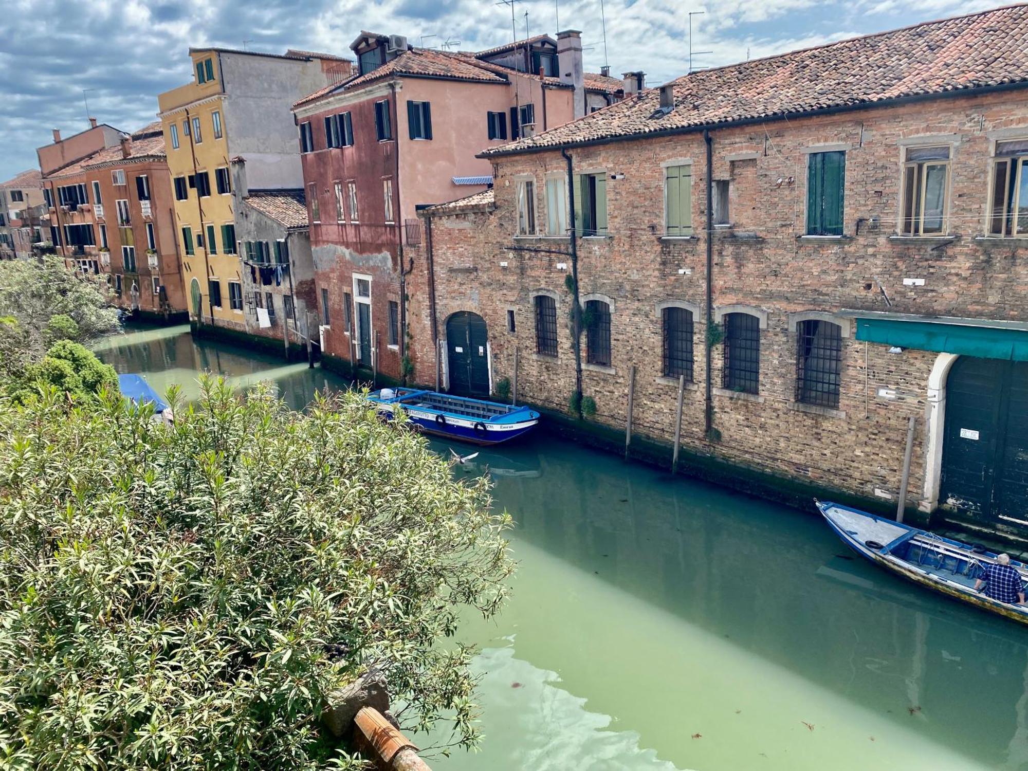 Margherita * Venice